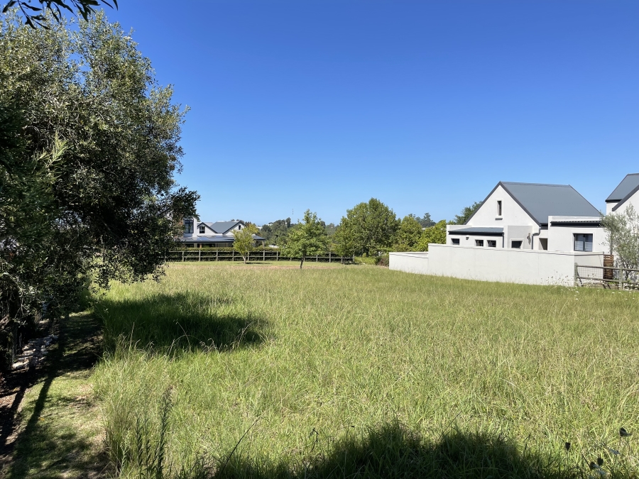 0 Bedroom Property for Sale in Soeteweide Country Estate Western Cape